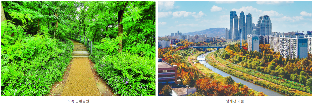 이미지명